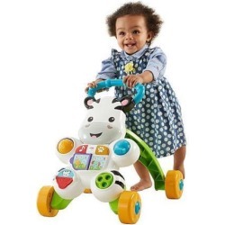Fisher-Price Learn with Me Zebra Walker