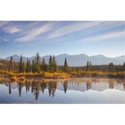 Posterazzi PDDCN01BJA0031 Canada Alberta Jasper National Park Scenic of Cottonwood Slough Poster Print by Jaynes Gallery