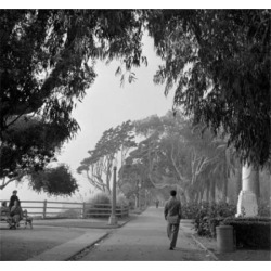 Posterazzi SAL25545462 Los Angeles California USA Poster Print - 18 x 24 in.