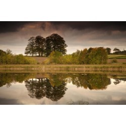 Posterazzi DPI1890809 Trees Reflected In The Water - Coldstream, Scottish Borders, Scotland Poster Print, 19 x 12