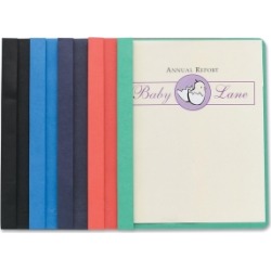 Business Source Report Cover Clear Front Ltr 1/2'/100 Sht Cap 25/BX AST 78519