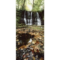 Posterazzi DPI1851194 Waterfalls During The Autumn Glenoe Co Antrim Poster Print, 10 x 22