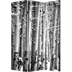 Screen Gems Birch Screen