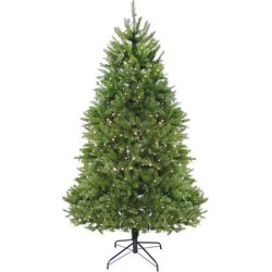 12' Pre-lit Northern Pine Full Artificial Christmas Tree - Warm Clear LED Lights