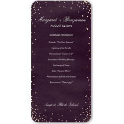 Wedding Program Cards: Elegant Sky Wedding Program, Purple, 4x8 Flat Program