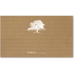 buy  Wedding Place Cards: Rustic Statement Wedding Place Card, Brown, Placecard cheap online