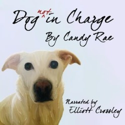 Dog not in Charge - Download