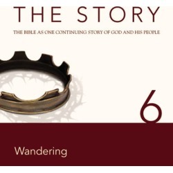 NIV, The Story: Chapter 6 - Wandering, Audio Download - Download