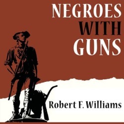 Negroes with Guns - Download