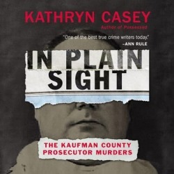 In Plain Sight - Download