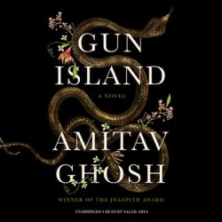 Gun Island - Download
