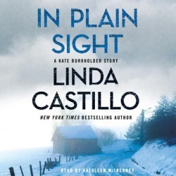In Plain Sight - Download
