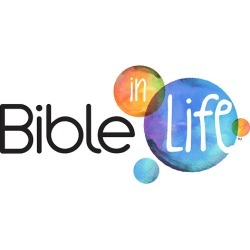 Bible in Life Adult Student Book Large Print Winter