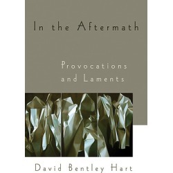 In the Aftermath - Provocations and Laments
