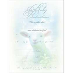 Certificate Baby Dedication-Premium Silver Foil Embossed Package of 6 - 8 1/2'' x 11''