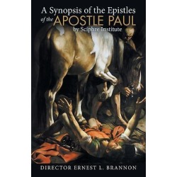 A Synopsis of the Epistles of the Apostle Paul by Sciphre Institute