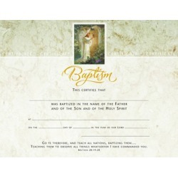 Baptism Certificate Premium, Gold Foil-Stamped Package of 6 - 8 1/2'' x 11''