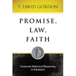 Promise, Law, Faith - Covenant-Historical: Covenant-Historical Reasoning in Galatians