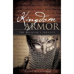 Kingdom Armor