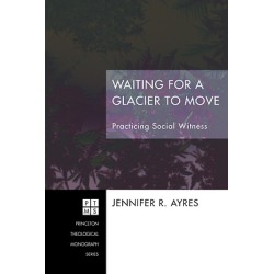 Waiting for a Glacier to Move - Practicing Social Witness