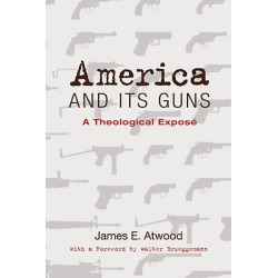 America and Its Guns