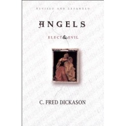Angels - Elect and Evil