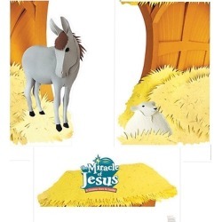 Miracle of Jesus Giant Photo-Op Posters (pkg. of 3)