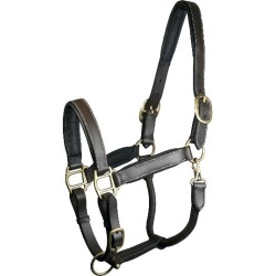 Gatsby Padded Leather Halter Fully Adjustable
