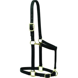 Weaver Nylon 1" Adjustable Draft Horse Halter