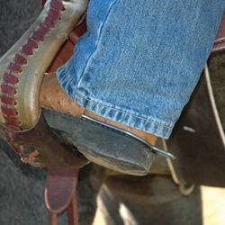 Cashel Comfort Spurs