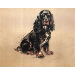 Porter Fine Art Dog Prints | Spaniel