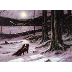 Fox and Fox Hunting - Midnight Tryst (Fox) Blank Greeting Cards - 6 Pack