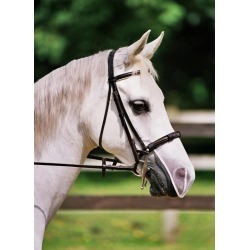 Equilibrium Net Relief Muzzle Net