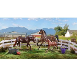 Breyer Pony Power Set
