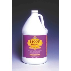 Cut Heal Hoof Heal Conditioner