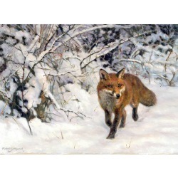 Christmas Cards -Winter Fox -10 Pack