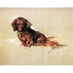 Porter Fine Art Dog Prints | Robin