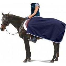 Centaur Wool Exercise Sheet