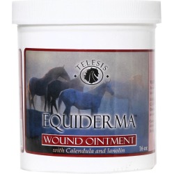 Equiderma Wound Ointment