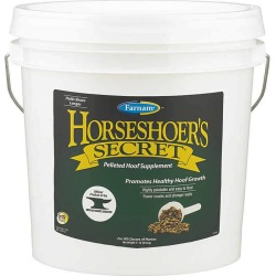 Farnam Horseshoers Secret (Original)