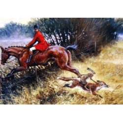 Double Take (Fox Hunting) Blank Greeting Cards - 6 Pack