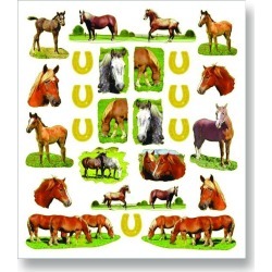 Kelley Draft Horse Stickers