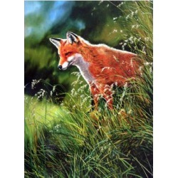 Fox and Fox Hunting - In the Grass Blank Greeting Cards - 6 Pack