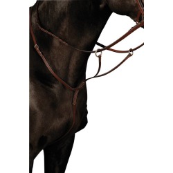 Collegiate Flat Running Martingale