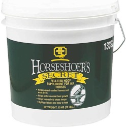 Farnam Horseshoers Secret (Original)