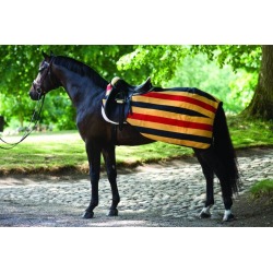 Rambo Newmarket Exercise Sheet