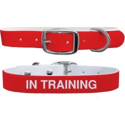 C4 Dog Collar In Training Collar