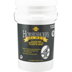 Farnam Horseshoers Secret (Original)