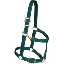 Weaver Nylon Draft Horse Halter