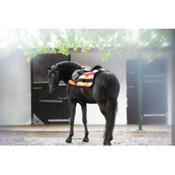 Rambo Fleece Exercise Sheet